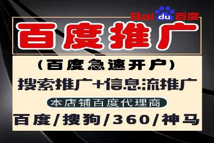 百度推广实战：从零到一的成长案例